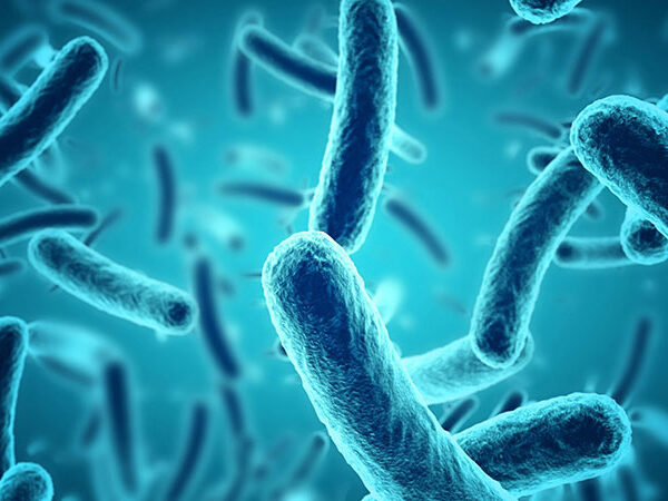 microbes_header-3-2