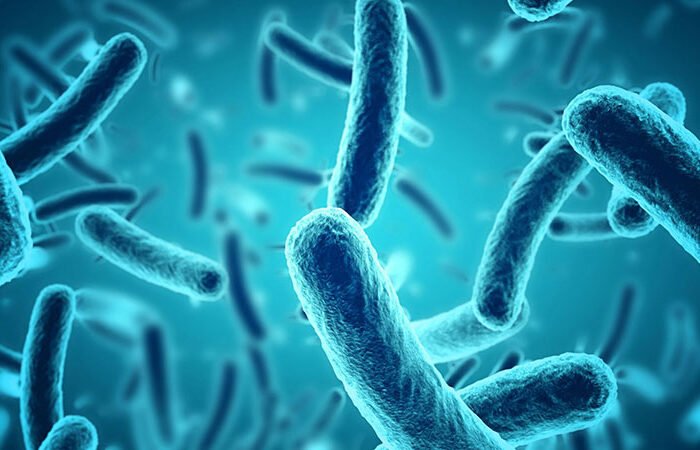 microbes_header-3-2